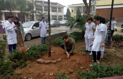 Ngày đầu năm mới xuân Kỷ hợi 2019
